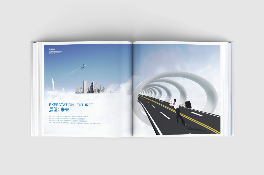 柘城县画册设计